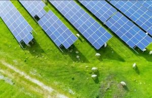中国科学家重大意外发现：沙漠光伏阵列可唤醒沉寂荒漠生态系统
