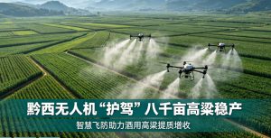 黔西无人机 “空中护驾” 八千亩酒用高粱 科技赋能筑牢稳产增收根基
