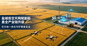 织密低空天网 智绘万顷良田 —— 江苏盐城以低空经济赋能稻麦全产业链智慧升级