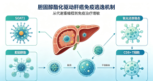 重磅科研突破：科学家揭示胆固醇酯化驱动肝癌免疫逃逸全新机制 为肝癌免疫治疗增敏提供核心靶点